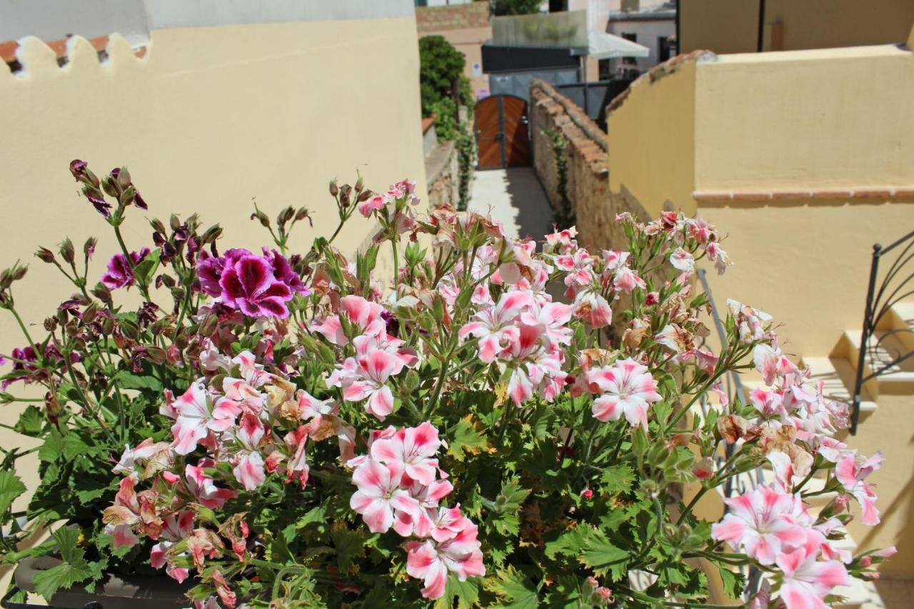 Ogliastra Luxury Apartment - Ajpsardinia Tortolì Buitenkant foto